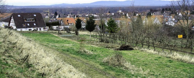 Seit zehn Jahren beschftigt sich die ...;Gruben&#8220; am sdlichen Ortsrand.   | Foto: Silvia Faller/tanja Bury