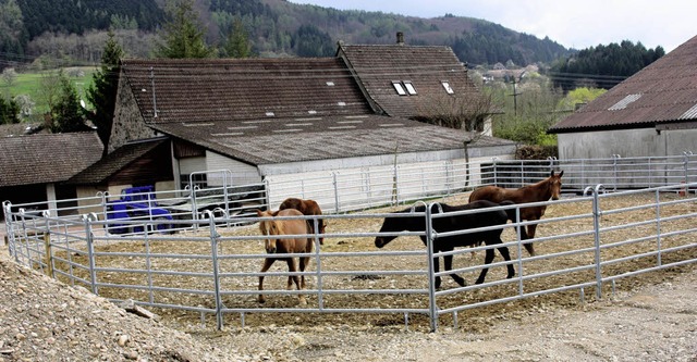 Auf einhellige Ablehnung stt in Schl...z bei diesem Anwesen in der Austrae.   | Foto: Heiner Fabry