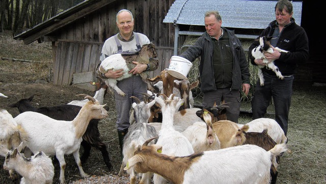 Seit 20 Jahren immer fr die Ziegen da...Wiesler und Zaunwart Edgar Schneider.   | Foto: Anne Freyer
