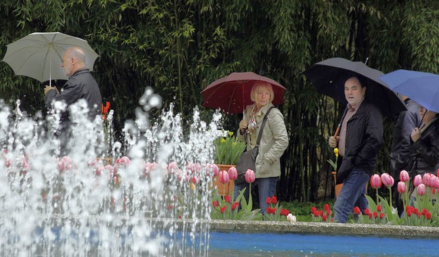Auch unterm Regenschirm ist die Tulpenvielfalt im Park eine Pracht.   | Foto: heidi fssel