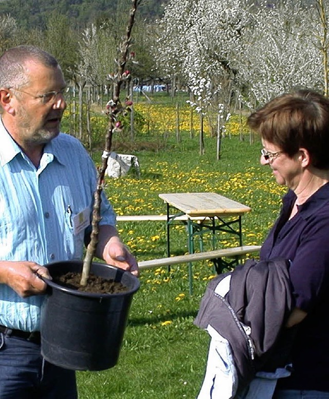 Kreisvorsitzender Lothar Herb berreic...er KOGL-Lehrgarten  ein Apfelbumchen.  | Foto: KOGL