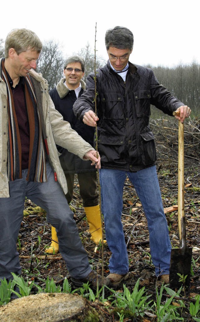 Rdiger Kruse  und Michael Wiessner  p...Brgermeister Jrg Czybulka zu sehen.   | Foto: Silvia Faller/Kautz15 (Fotolia)