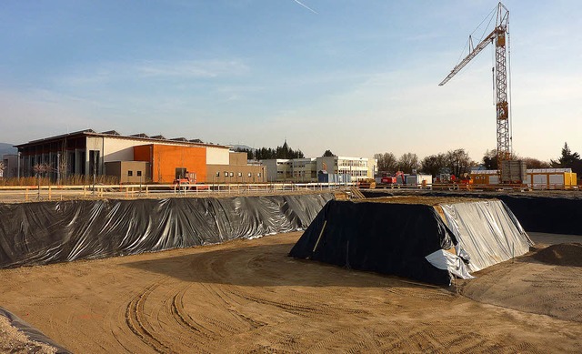 Ziemlich tiefe Grube: Gleich neben der...eitersheim die Malteserschule gebaut.   | Foto: Heike Lemm