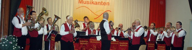 Blasmusik satt gab es am Samstag  beim...elberger Blasmusiktreffen in Hsingen.  | Foto: Vera Winter