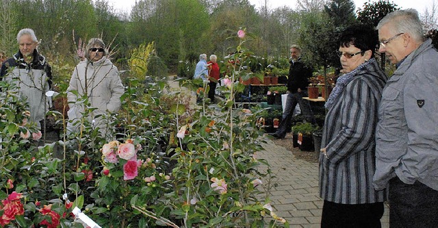 Unter dem trben Wetter litt der Tag d...22;Perspektive Grn&#8220; ein wenig.   | Foto: Maja Tolsdorf