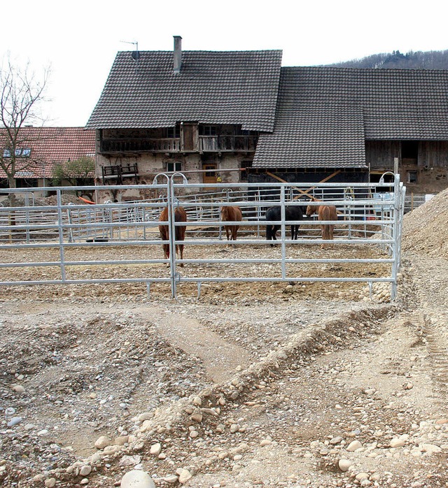 Der geplante Bau eines Pferdestalls in...ei einem Vororttermin geklrt werden.   | Foto: Heiner Fabry