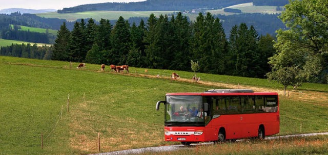 Wanderbus Wutachschlucht  | Foto: Privat