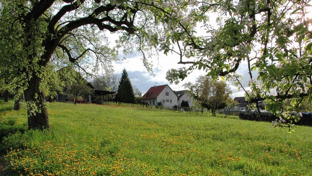 Vergngliche Idylle: Hier soll das Neu...Hinter dem Dorf III&#8220; entstehen.   | Foto: Ounas-Krusel