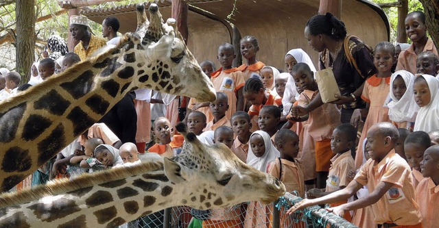 Bei einem Schulausflug sahen die Schlererstmals Giraffen   | Foto: Privat