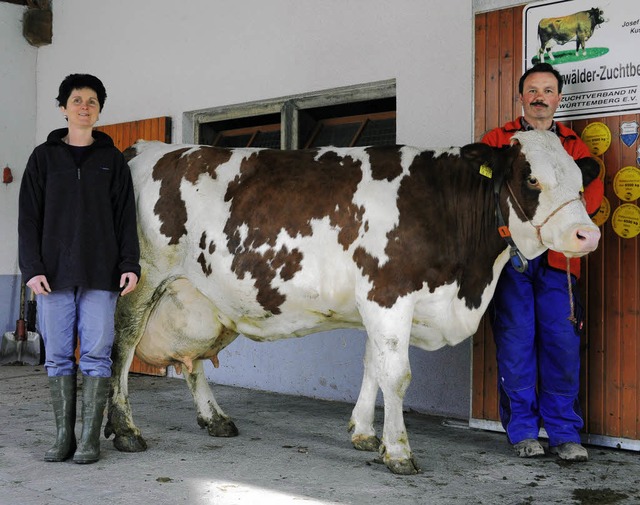 Lydia und Josef Nopper mit Vorderwlderkuh &#8222;Astrid&#8220;   | Foto: Andrea Kurz