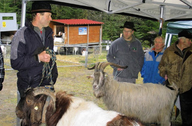 Gut beschirmt &#8211; das schlechte We...m Ltschenbacher Steinbruch abhalten.   | Foto: SCHTZ