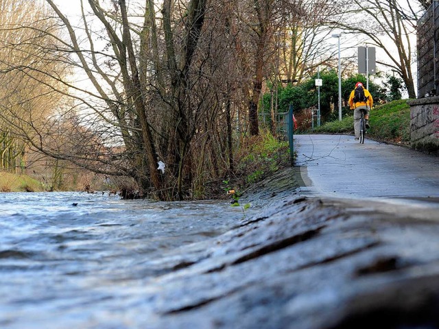 Sonst ein harmloser Fluss, doch fr de...rger Dreisam wohl zur tdlichen Falle.  | Foto: Thomas Kunz