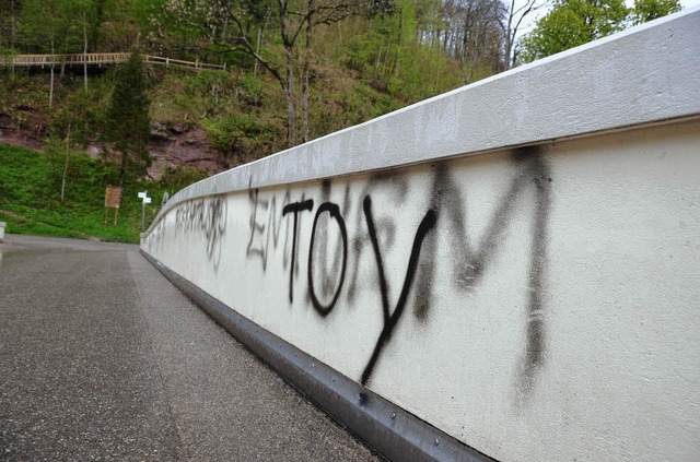 An Graffiti an der Wiesenbrcke strte sich  Peter Memer im Bauausschuss.   | Foto: Andr Hnig