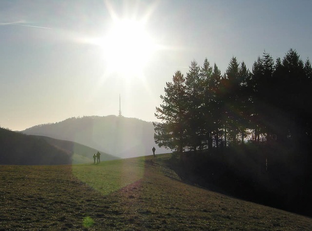 Der Sonne entgegen: Blick zum Eichelspitzturm am Kaiserstuhl  | Foto: Anselm Busshoff