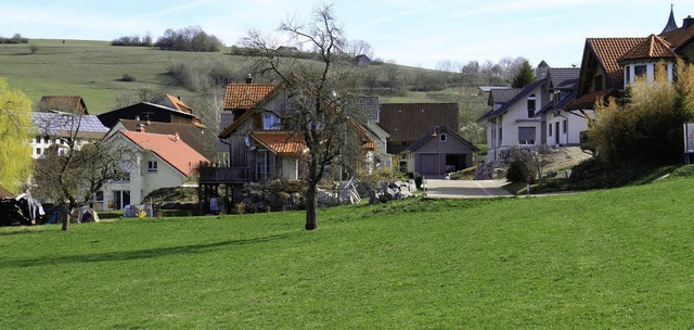 Das Neubaugebiet in Obermettingen soll...te ber mgliche Ausgleichsmanahmen.   | Foto: Wilfried Dieckmann