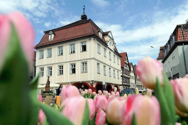 Fotos: Nagold blht auf – Landesgartenschau erffnet