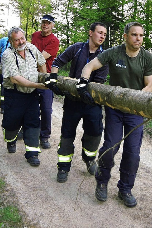 Wie schon 2011, werden die Mrkter auch diesmal einen Maibaum aufstellen.   | Foto: Privat