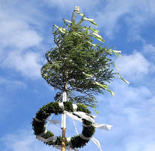 Im Vorjahr hatte der Baum aus Hausen das Rennen gemacht.   | Foto: BZ