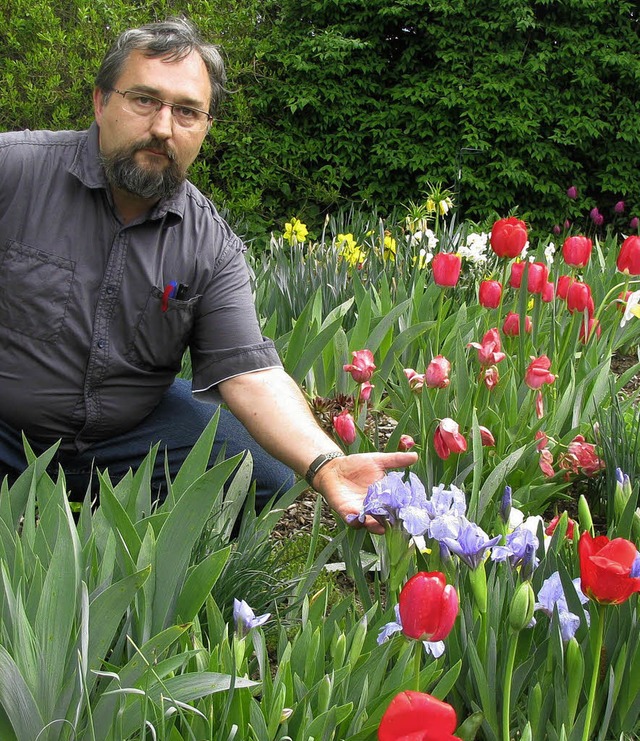 Noch berwiegen die Tulpen, aber Fritz...ffnet er seinen Garten fr Besucher.   | Foto: Michael Gottstein