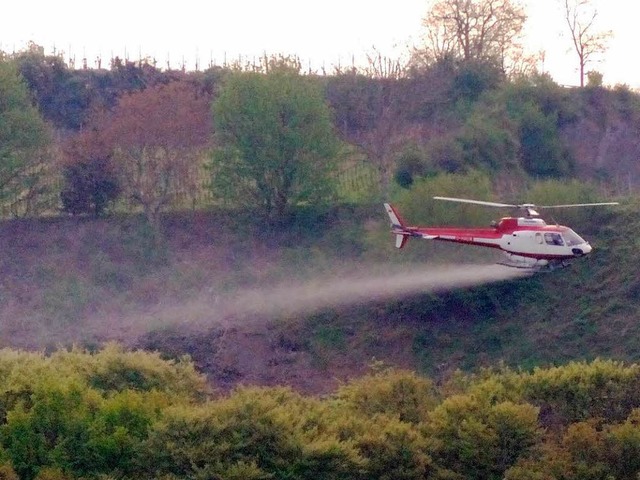 Darf jetzt doch abheben: Der Hubschrauber zur Bekmpfung der Maikferplage.  | Foto: Siegfried Gollrad