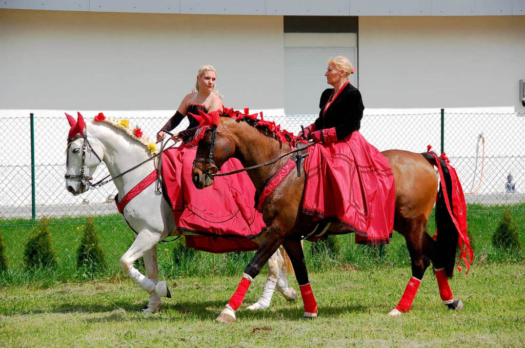 Das "Showhorses"-Team vom Kalvarienberg zeigte eine interessante Pferdeshow.