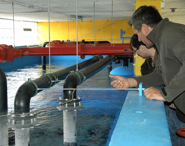 Bereit fr die neue Schwimmbadsaison ist auch  Kollnau.   | Foto: Hubert Bleyer