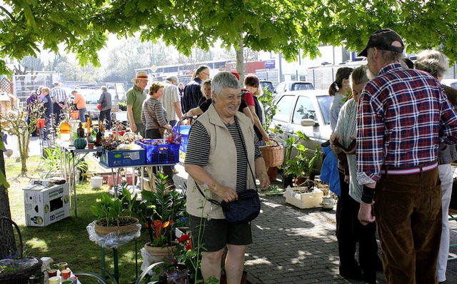 Schattenpltze waren gefragt bei der Kenzinger Pflanzenbrse.   | Foto: BZ