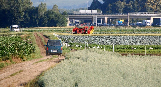 Auch die Zufahrt zu den Feldern der Landwirte ist im Bebauungsplan geregelt.  | Foto: Lauber