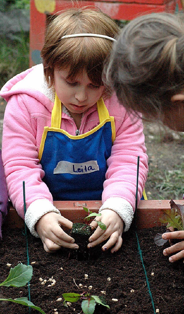 Die Regenbogen-Kinder legten ein Gemsebeet an.   | Foto: Leony Stabla