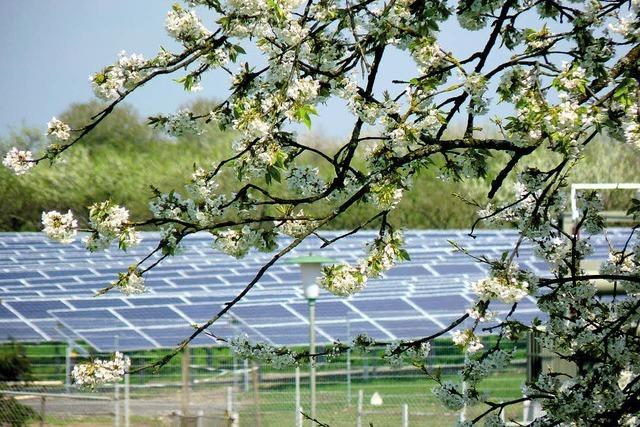 Solarpark feiert Frhlingsfest