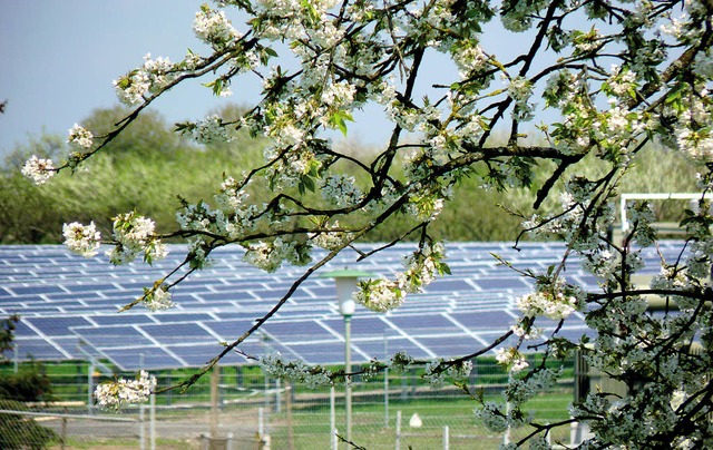 Solarparkbetreiber und die Natur freuen sich auf einen sonnigen Frhling.   | Foto: PR