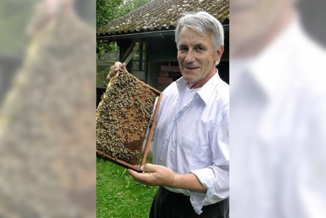 Den Bienenvergiftern auf der Spur