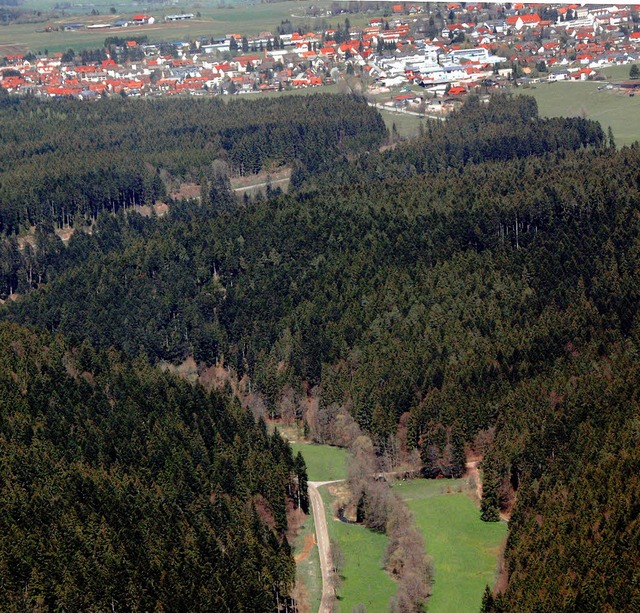 Im Forstbezirk Hinter Wieden des Bonnd...ne Verbissschden hoch.  Horst a. bss  | Foto: Horst A. Bss