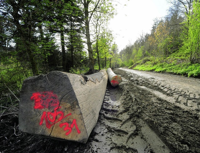Sieht wst aus,  dient aber der Verbes...r Wegebearbeitung auf der Waldstrae.   | Foto: Thomas Kunz