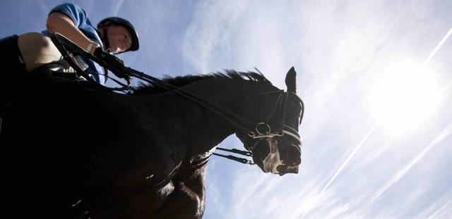 Auf dem Rcken der Pferde, liegt das hchste Glck der Erde.  | Foto: dpa