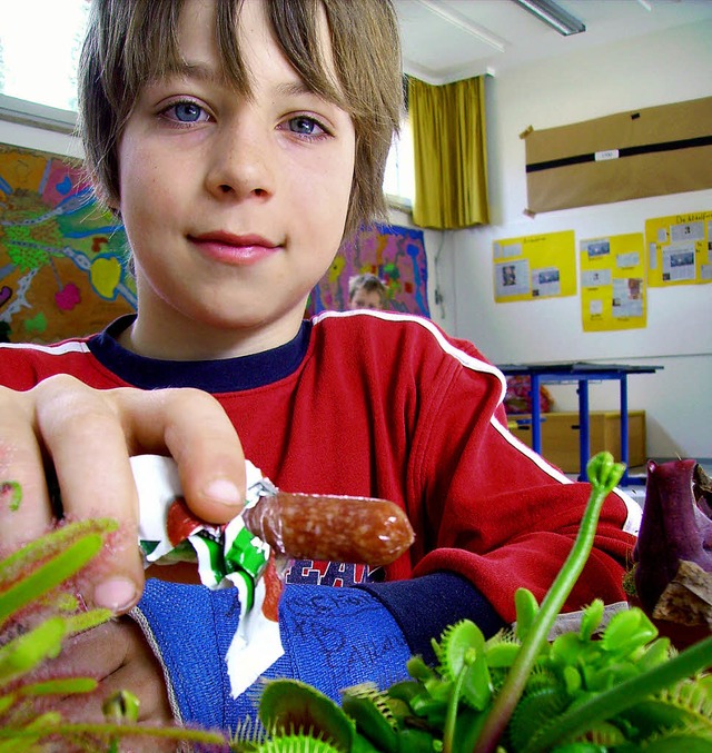 Der junge Pflanzenforscher bei der Arbeit.  | Foto: privat