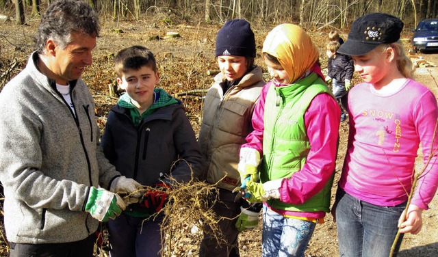 Schnipp, schnapp: Viertklssler helfen den Frstern   | Foto: privat