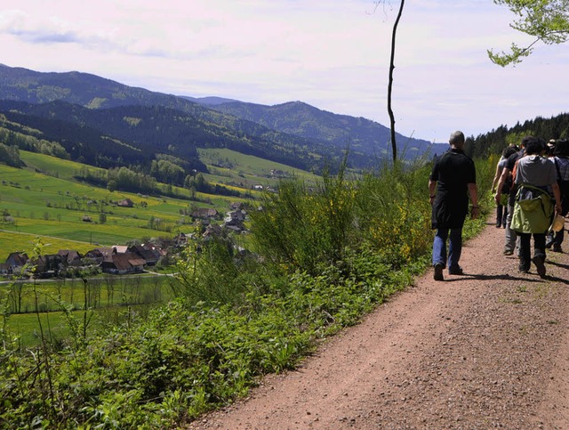 Herrliche Ausblicke in schnste Schwar...nhuser, hier auf Hhe Unterprechtal.   | Foto: Bernd Fackler