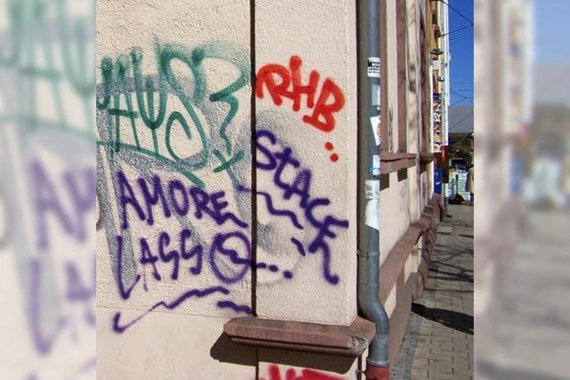 Ehrenamtlicher Kampf gegen illegale Graffiti