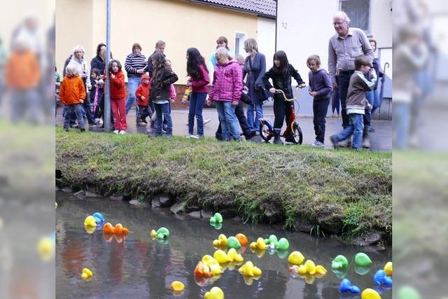 Hugsweiers Enten werden auch von oben nass