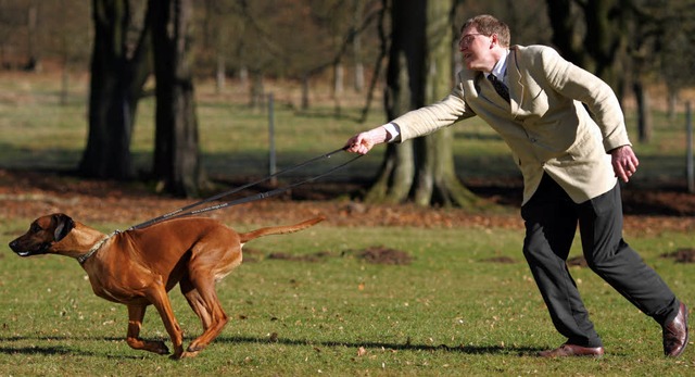 Hat Herrchen seinen Hund im Griff? Die...stellen sich viele Nicht-Hundehalter.   | Foto: dpa