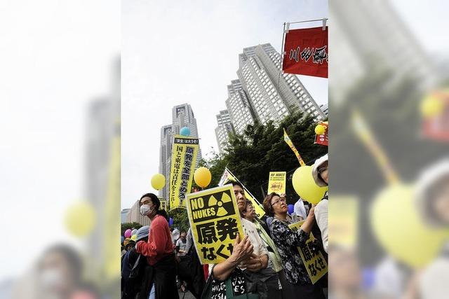 Japan lebt ohne Atomstrom