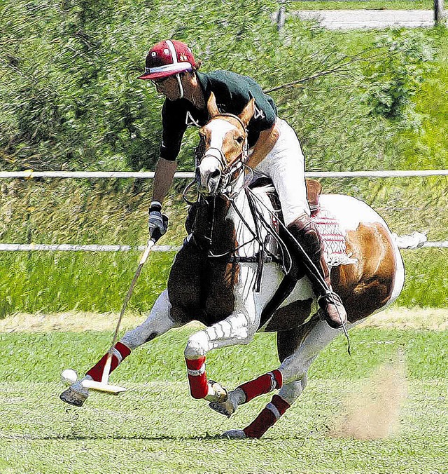 Ein exotisch-rasantes Ballsport-Kontra...ier dem Publikum im Juli. Bild: Archiv  | Foto: Archiv