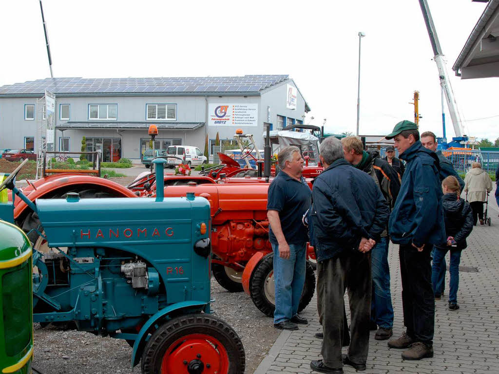 Aufpolierte Oldtimertraktoren in Reih und Glied.