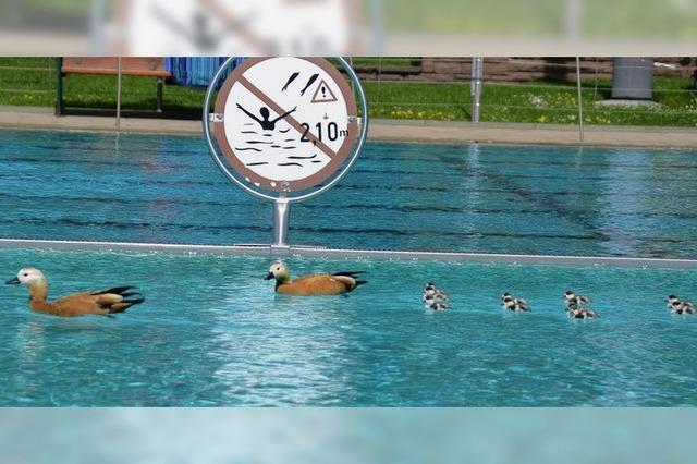 Kken-Schwimmstunde im Freibad