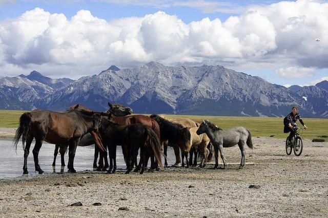 Radtour durch die Mongolei: „Ein bisschen das Abenteuer suchen“