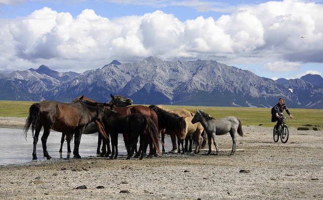 Radreisen Mongolei  | Foto: Biketeam Radreisen