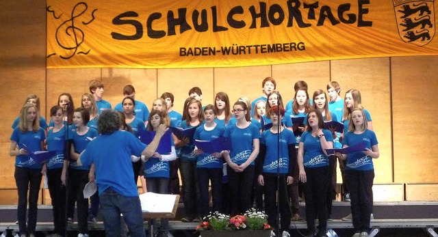 Der Chor der Stefan-Zweig-Realschule Endingen bei seinem Auftritt in Nagold.   | Foto: Privat