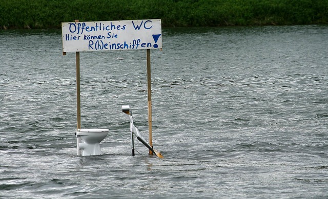 WC im Rhein bei Ottenheim  | Foto: Martin Frenk