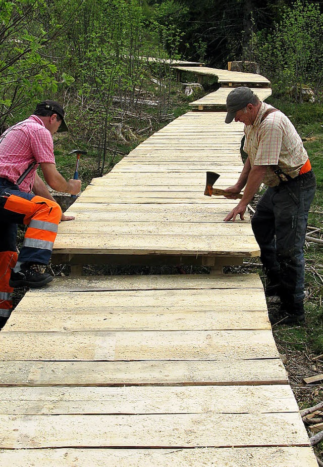 Gemeindemitarbeiter sind derzeit dabei...e des Taubenmoos-Hochmoores anzulegen.  | Foto: Ulrike Spiegelhalter